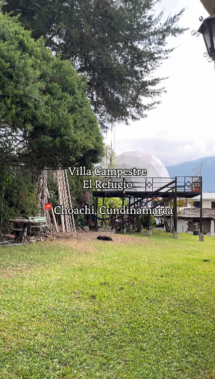 Imagen 4 del trabajo realizado por Likeli